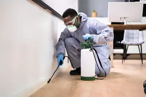 pest control Chicago Lawn